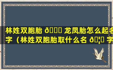 林姓双胞胎 🐛 龙凤胎怎么起名字（林姓双胞胎取什么名 🦁 字好）